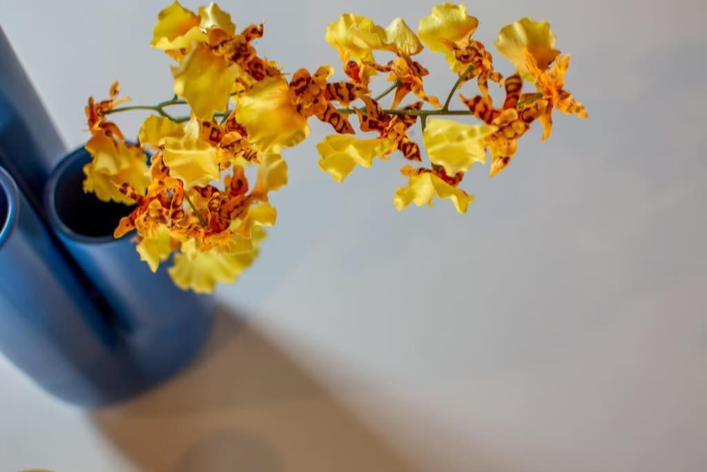 Mimosa- Loft Elegante Con Terrazza Nel Centro Di Siena 아파트 외부 사진